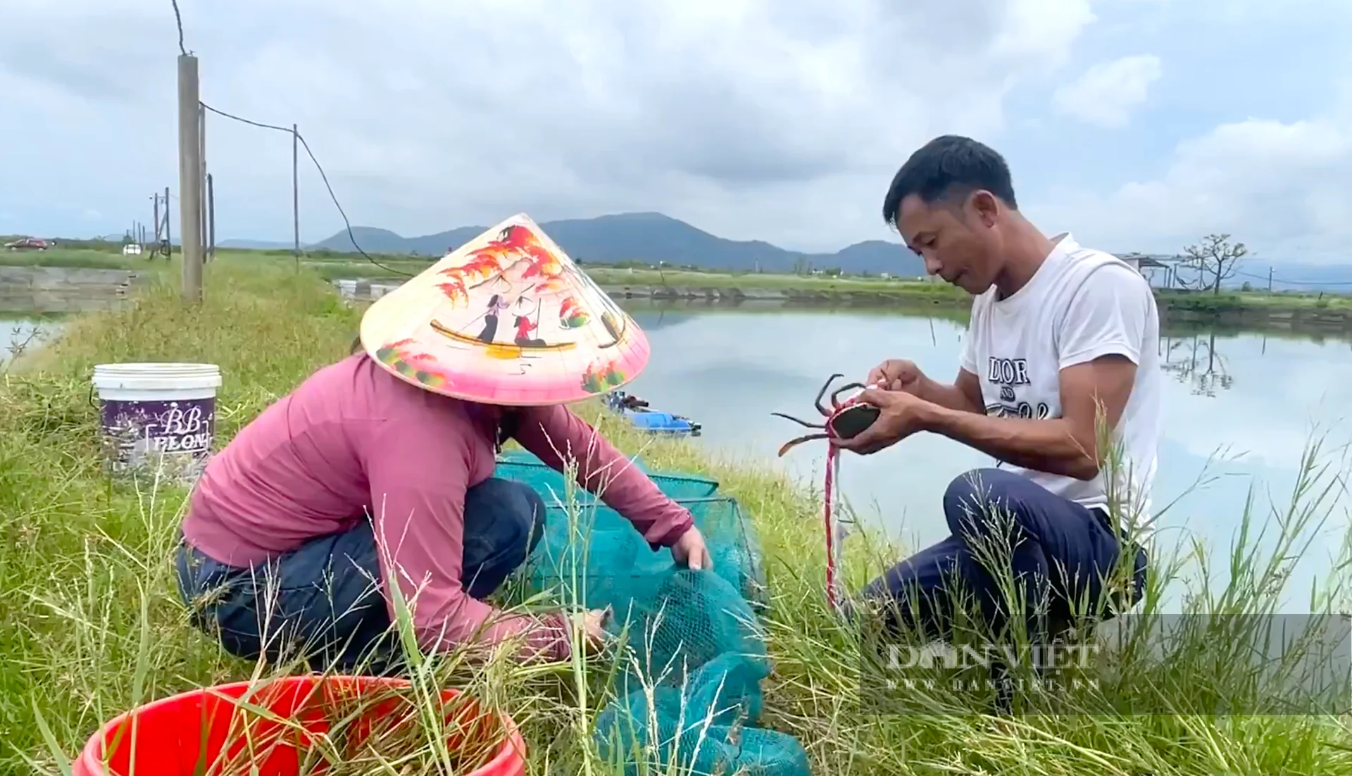 Nuôi cua theo kiểu mấy giai đoạn mà dân Hà Tĩnh túm được toàn con bự bự như thế này