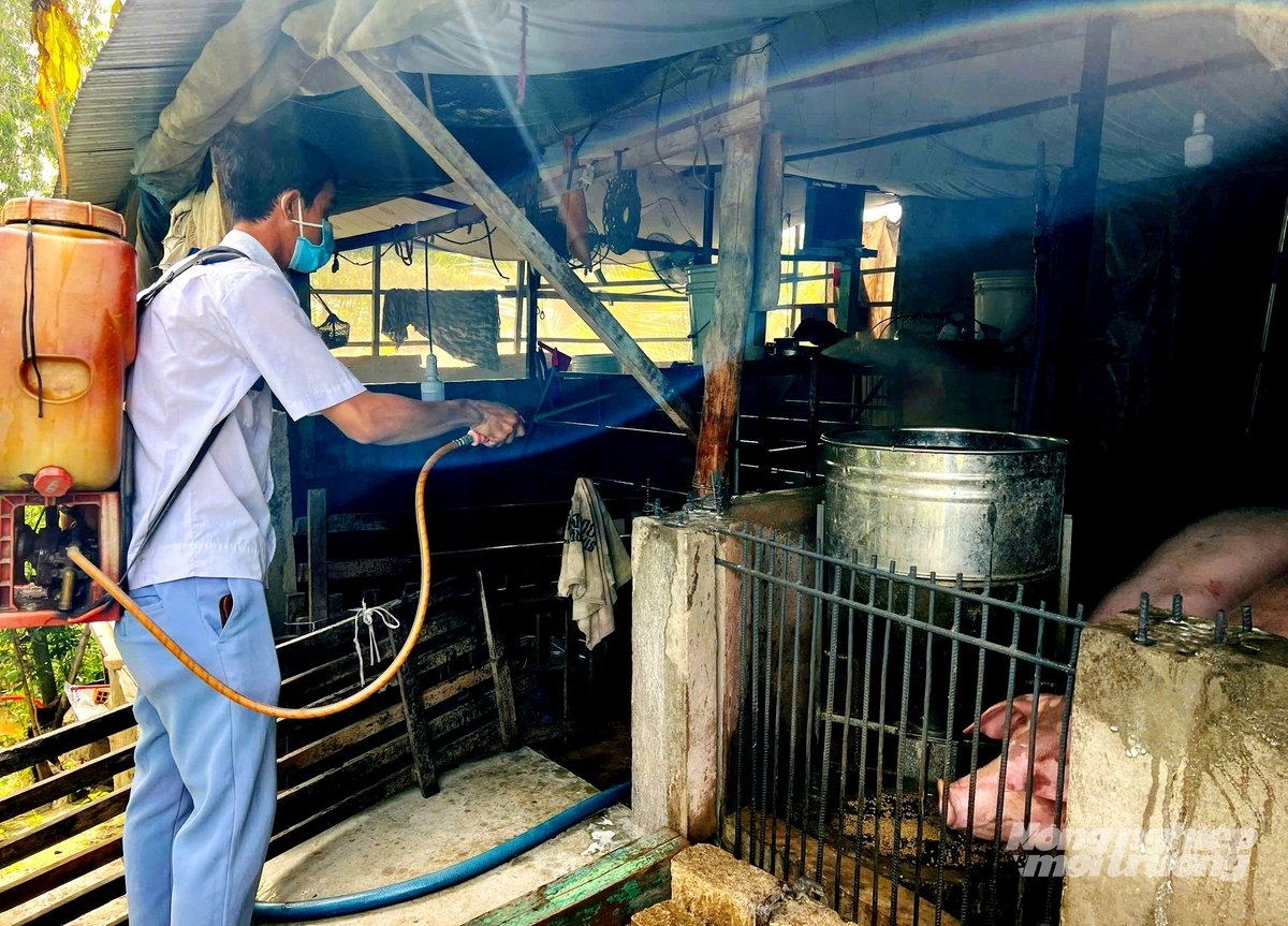Cảnh giác cao với dịch bệnh, ổn định đàn heo