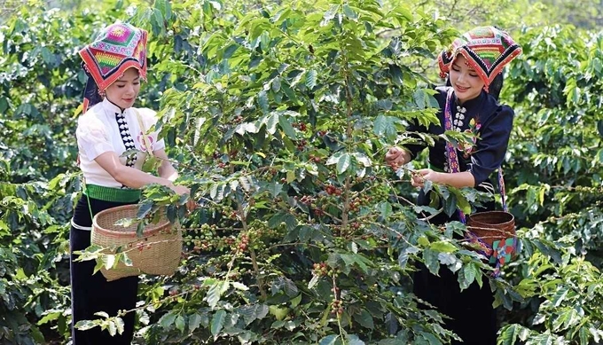 Nông nghiệp sinh thái: Hướng đi bền vững cho tương lai