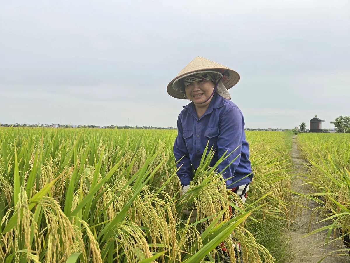 Tẻ Nương Hà Giang 'hiên ngang' ở Đất Cảng