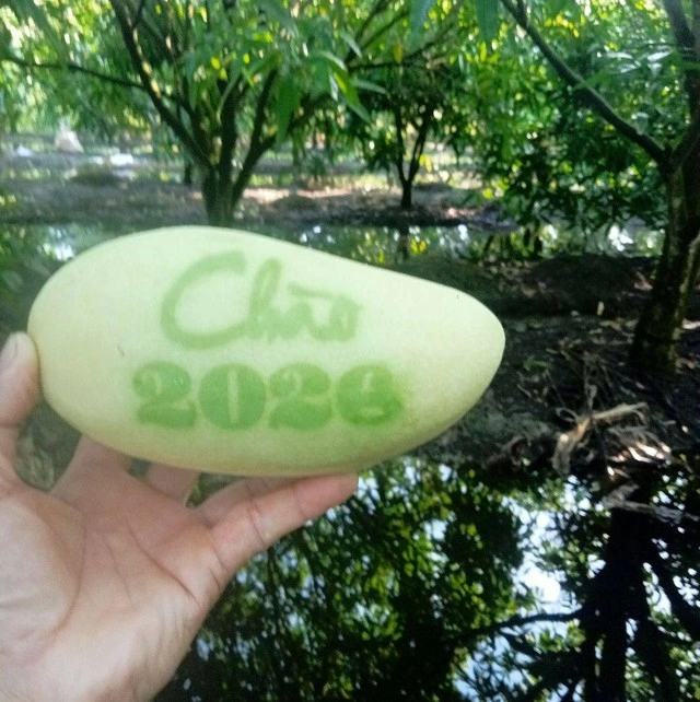 Nhà vườn miền Tây chăm chút từng sản phẩm