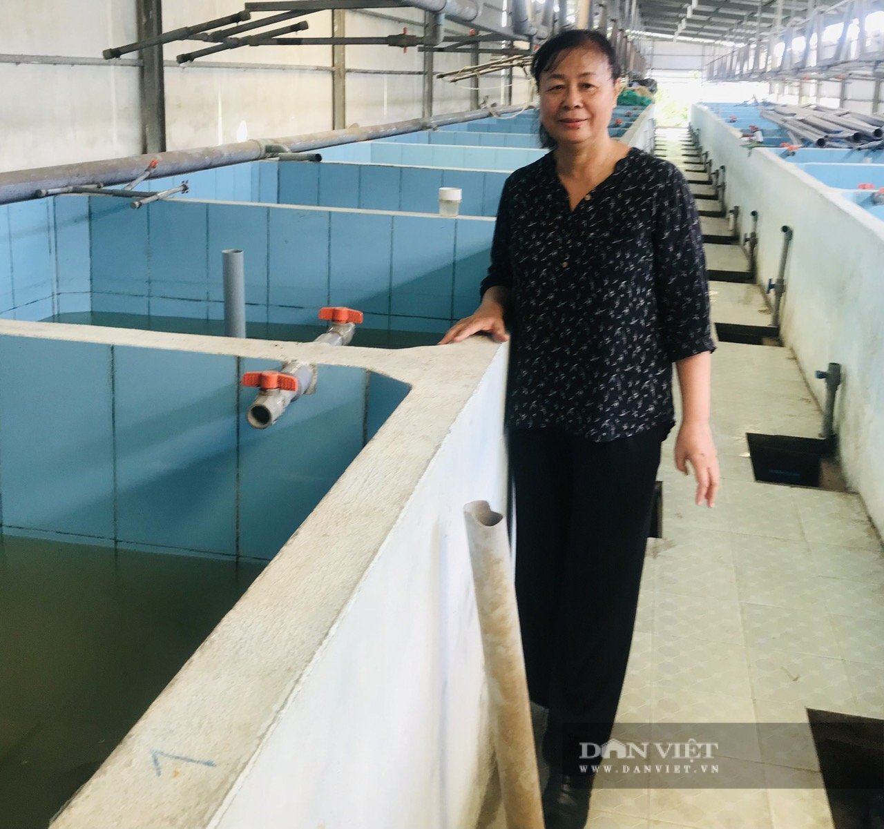 Một bà giám đốc ở TPHCM 
