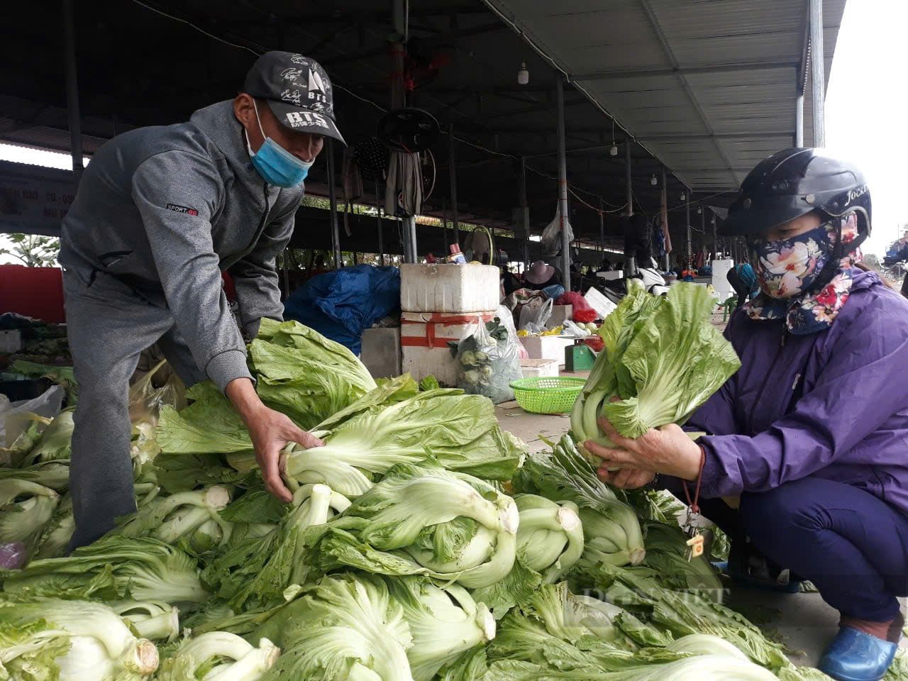 Từ hành lá tới cà chua rủ nhau 