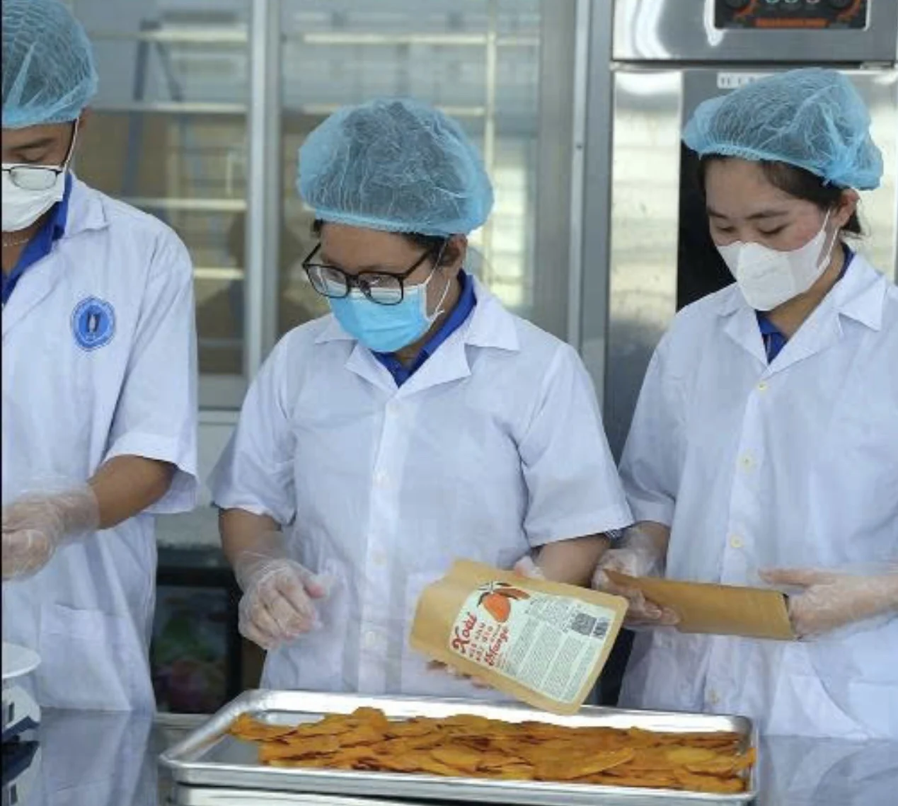 Trái xoài Cát Chu Đồng Tháp 
