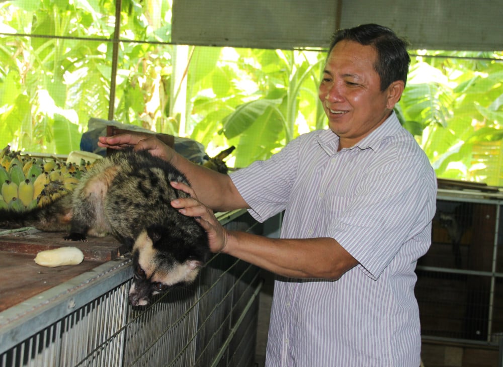 Nuôi thành công chồn hương, bán làm con đặc sản, một ông nông dân Long An giàu hẳn lên