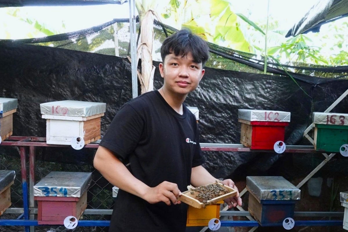 Chàng trai 22 tuổi mỗi tháng ẵm 20 triệu đồng nhờ nuôi ong chúa giống