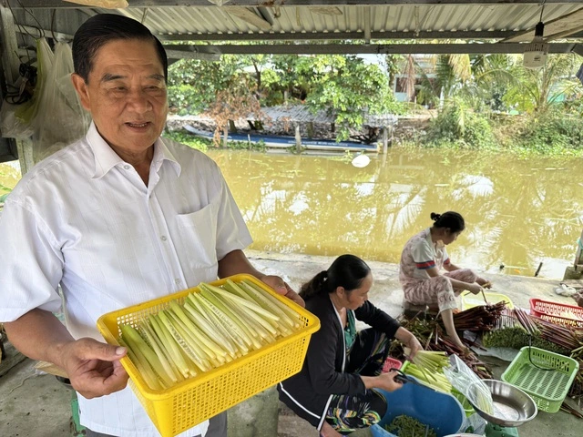 Làm giàu từ 'cỏ dại' ở vùng đất phèn mặn