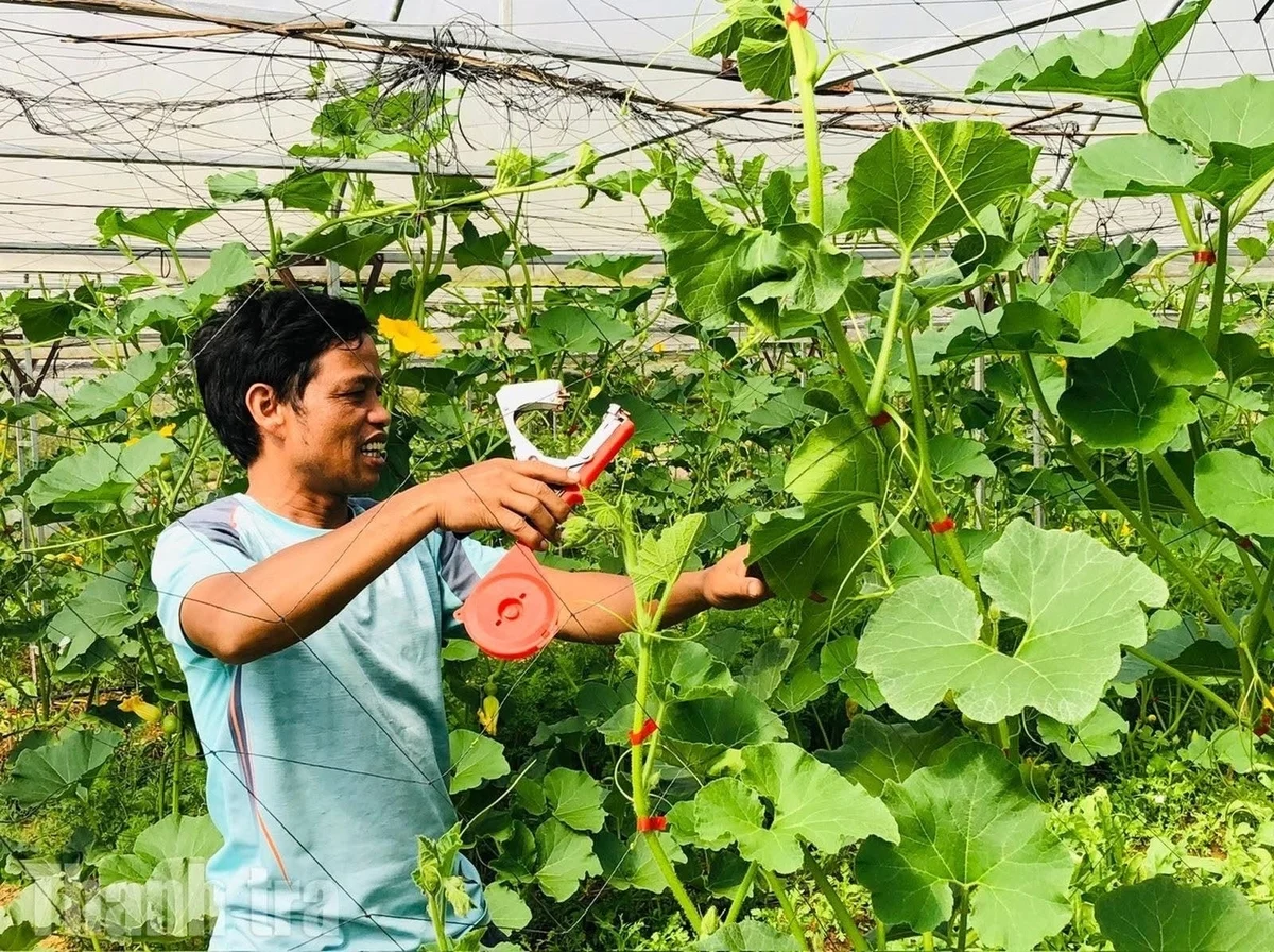 Măng Đen phấn đấu trở thành vùng sản xuất hàng hóa đặc sản có thương hiệu