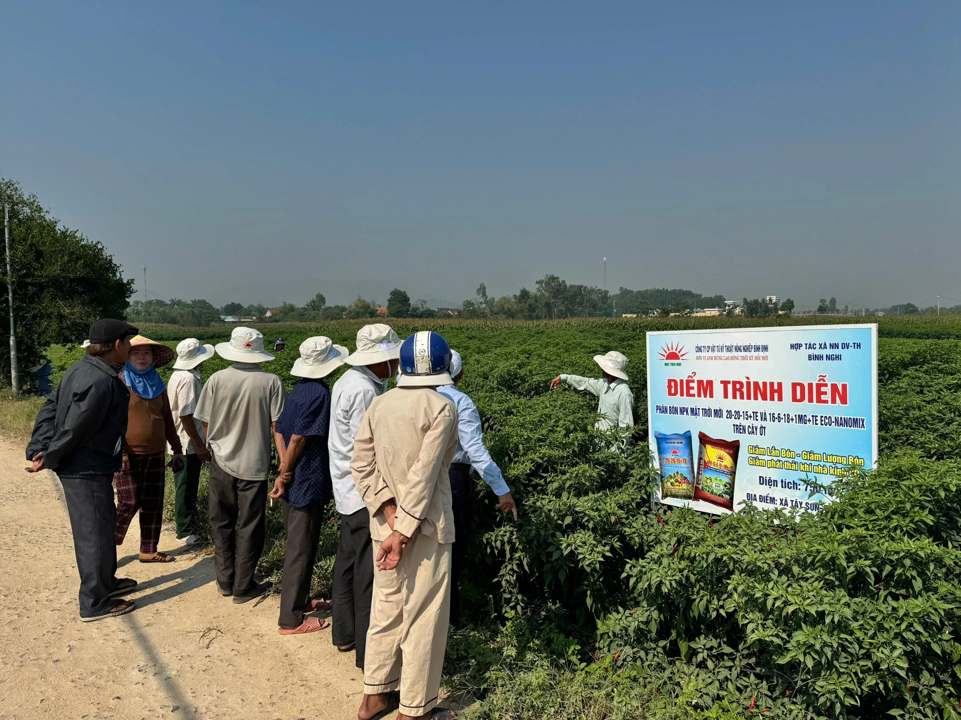 Bón phân phù hợp, ruộng ớt ở Gia Lai đạt doanh thu 21 triệu đồng/sào