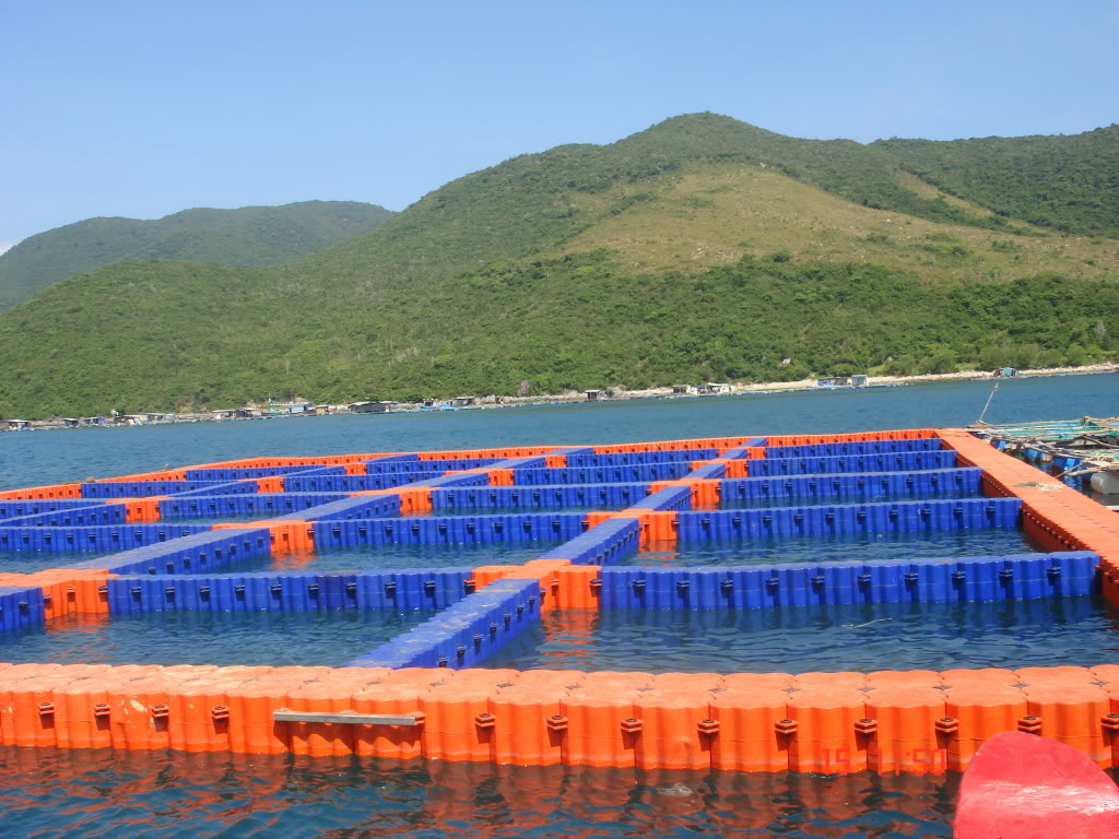 Quản lý chất cấm và chống lạm dụng kháng sinh trong nuôi trồng thủy sản