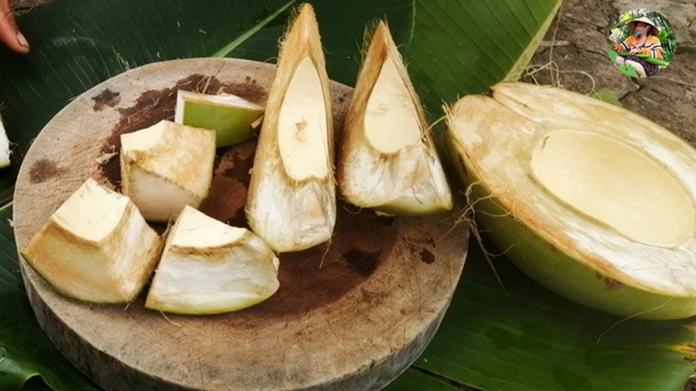 Loại dừa lạ to bằng bát ăn cơm, bổ múi như bổ cam và chỉ lấy phần vỏ để ăn
