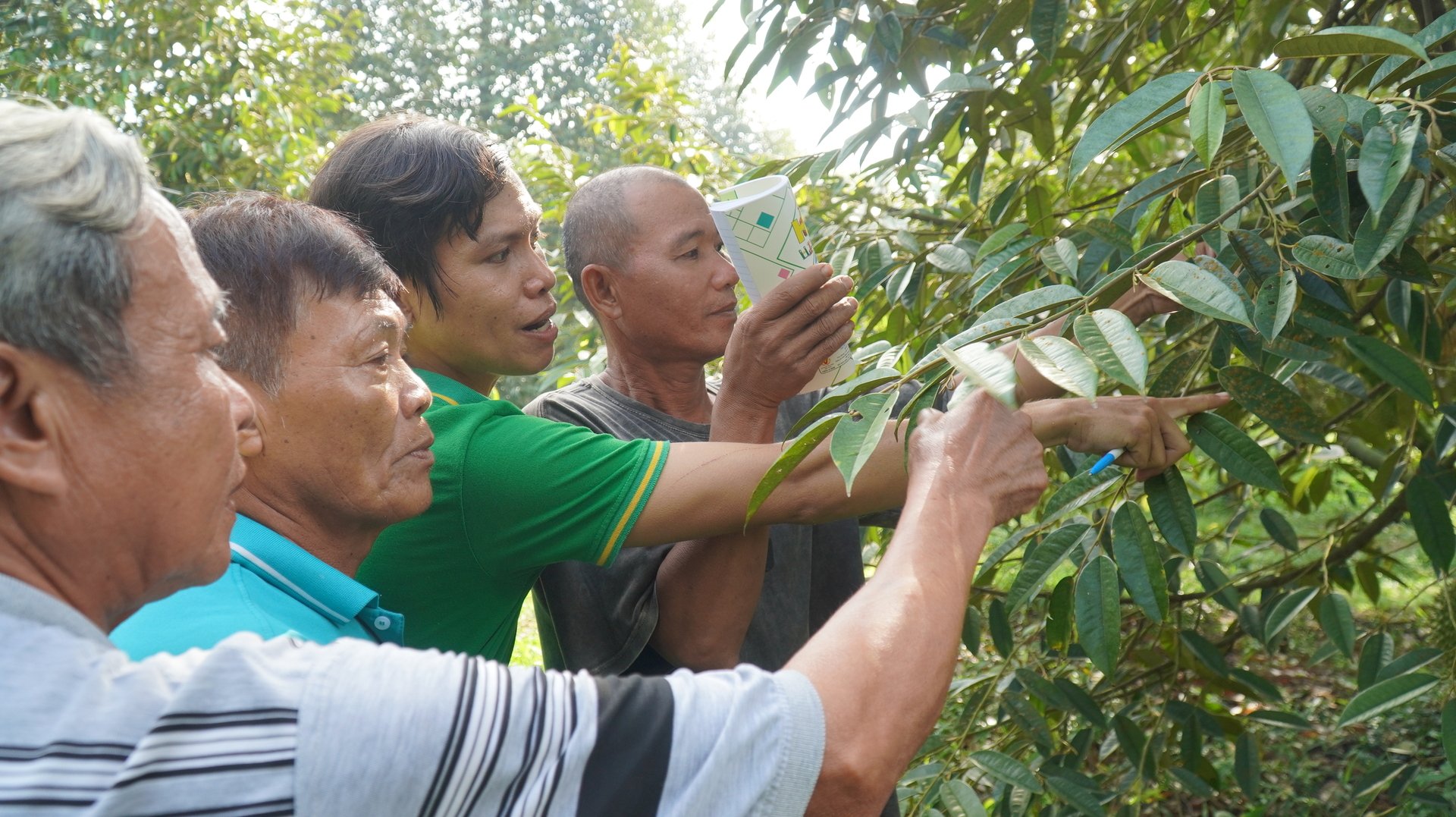 Những lớp học tại vườn và giấc mơ sầu riêng công nghệ cao