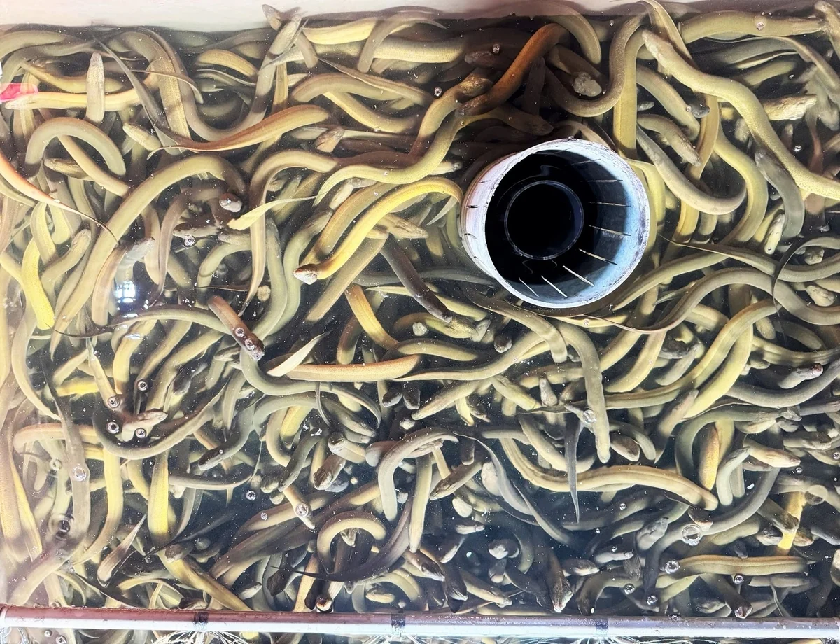 Khởi nghiệp với 20 triệu đồng, thu tiền tỷ mỗi năm