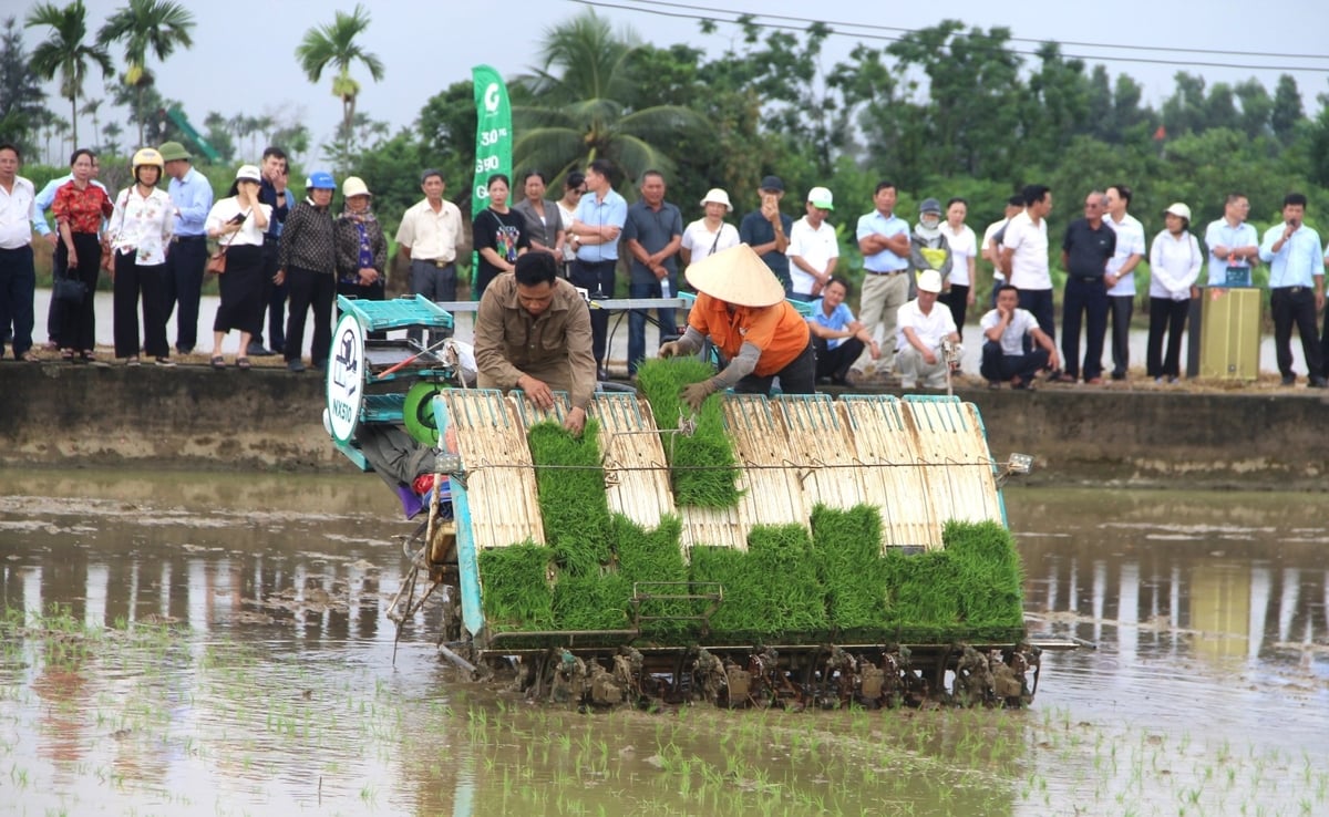 'Cánh đồng công nghệ' - lời giải cho bài toán tăng trưởng xanh