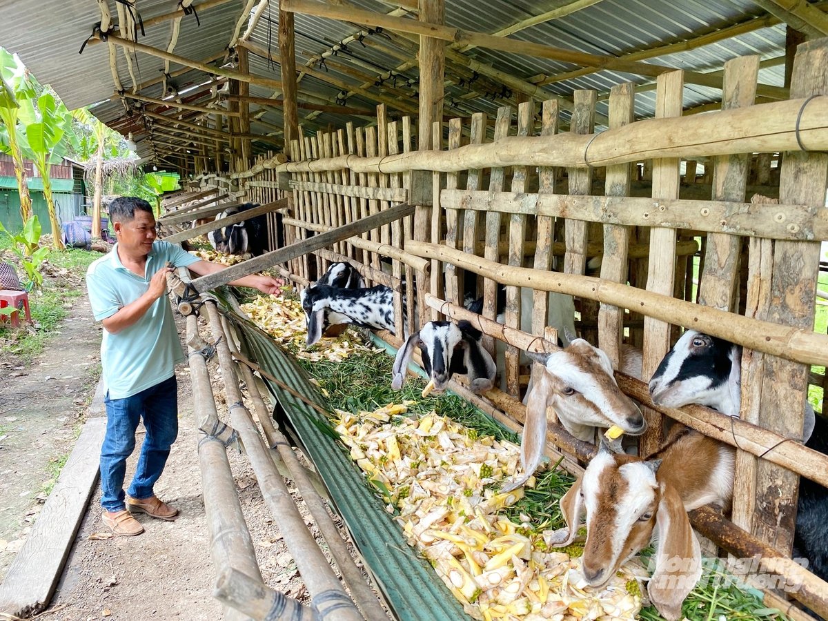 Công nghệ 4.0, trợ thủ đắc lực trong chăn nuôi an toàn sinh học