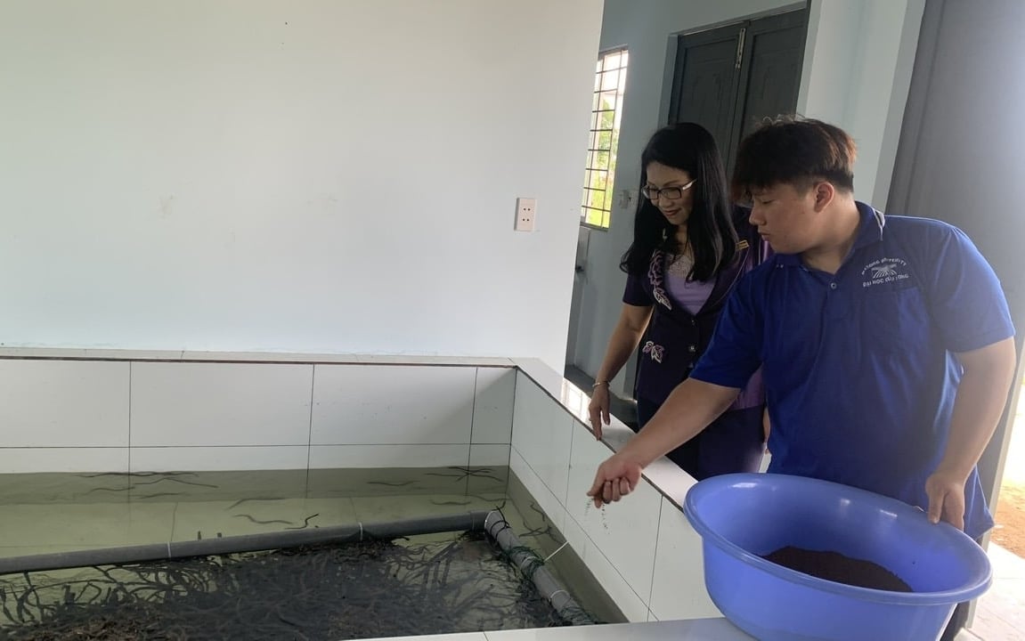 Nữ tiến sĩ tâm huyết với nghề nuôi lươn