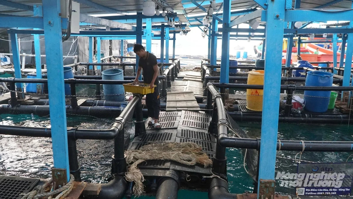 Nuôi biển - động lực tăng trưởng mới của TP.HCM