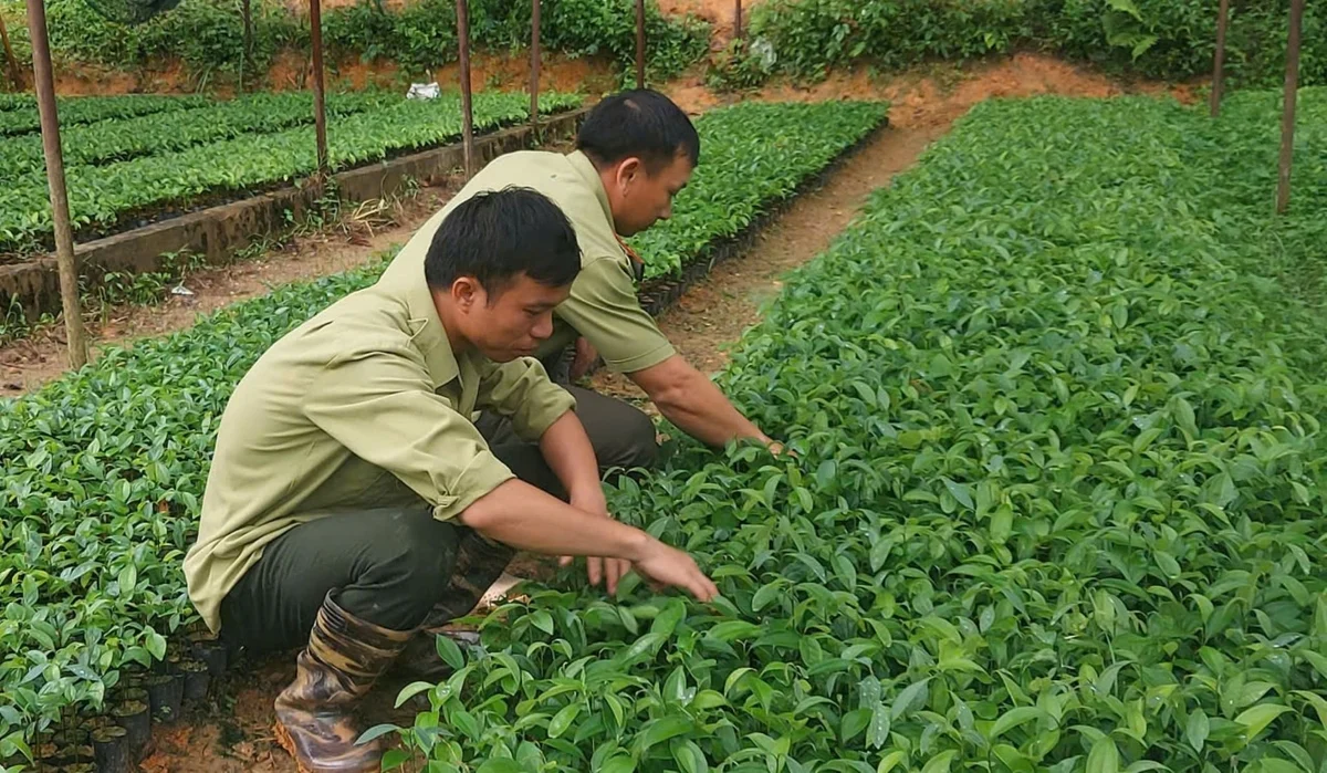 Nghệ An đặt nền móng cho chiến lược bảo tồn nguồn gen