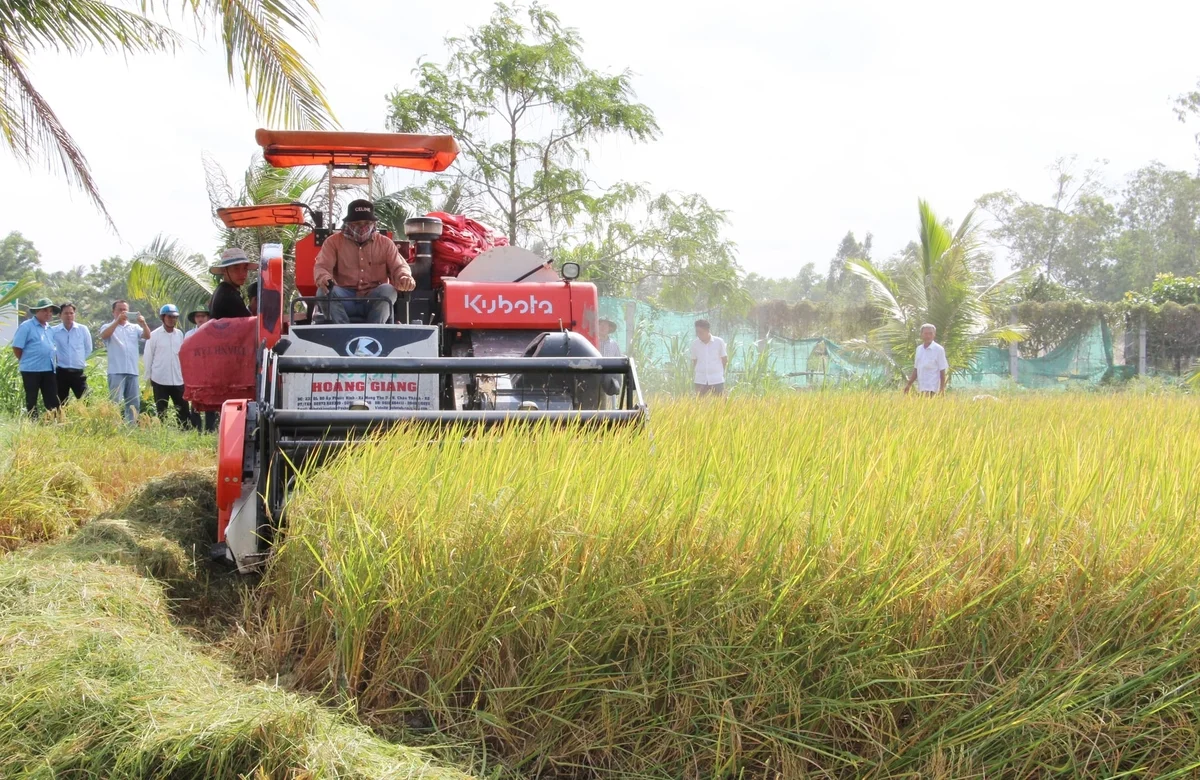 Vĩnh Long đề xuất xây dựng địa phương tiêu biểu phát triển nông nghiệp sinh thái