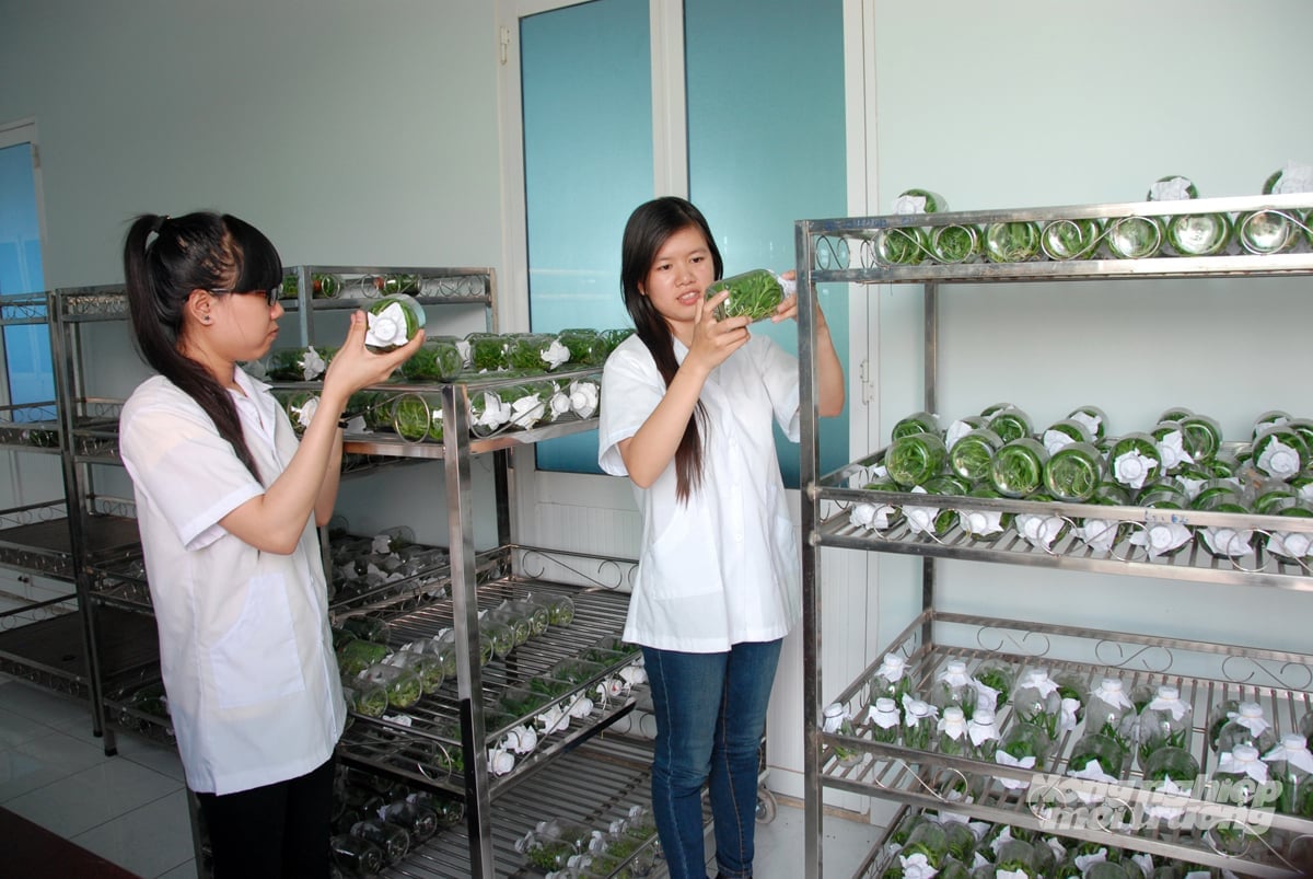 Ứng dụng công nghệ cao - chìa khóa phát triển xanh