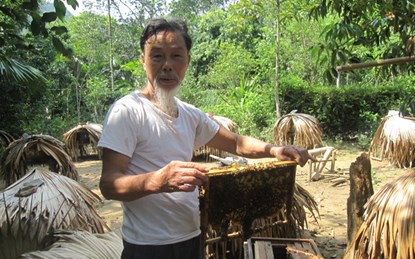 Lão nông hơn 70 năm kết bạn với ong hé lộ bí quyết nghề nghiệp