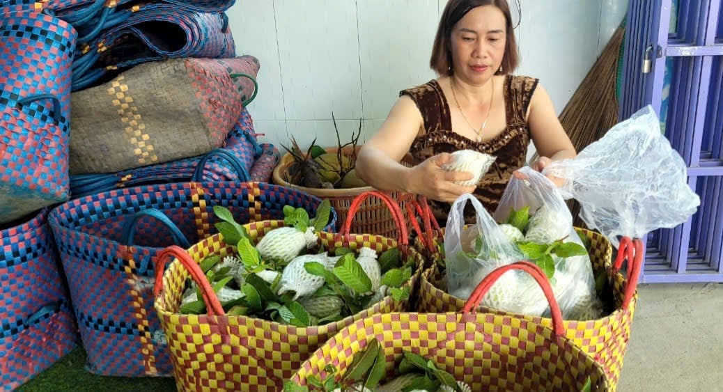Giá ổi rớt thảm, chỉ còn từ 500 - 1.700 đồng/kg