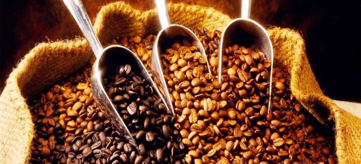 Giá nông sản hôm nay 7.5: Giao dịch cà phê cuối tuần buồn tẻ