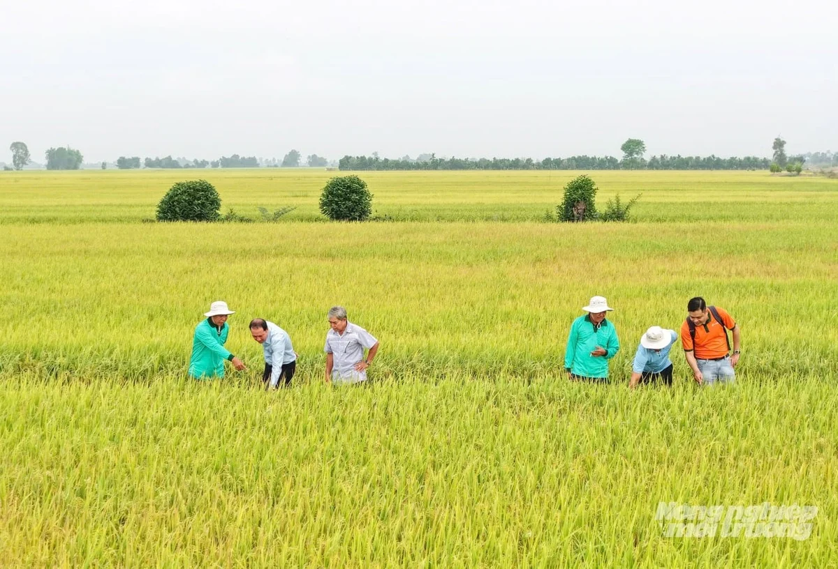 Giải pháp sinh học giúp nông dân hướng đến giá trị bền vững