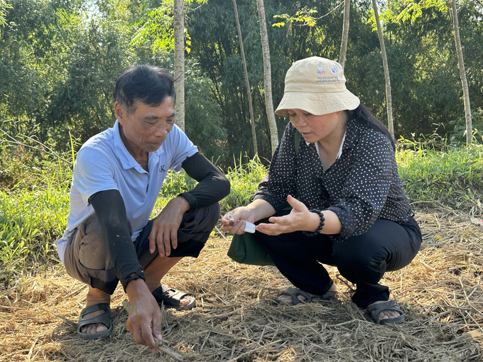 Chế phẩm vi sinh biến rơm rạ thành 'thuốc bổ' cho đồng ruộng