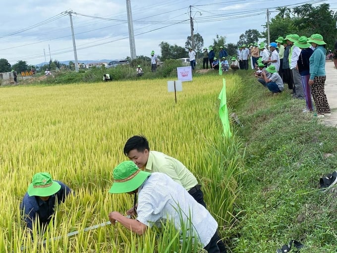 TBR97 'vững như kiềng 3 chân' trước mưa to, gió lớn