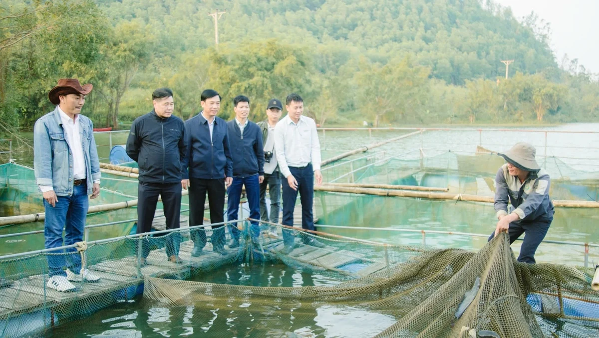 Cá trê Hà Xá dễ nuôi, tỷ lệ sống cao