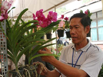 Đẩy mạnh ứng dụng công nghệ cao: Nông nghiệp TP.Hồ Chí Minh tăng trưởng bền vững