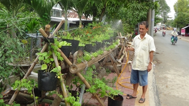 Độc đáo trồng rau từ thân tre, dừa mục