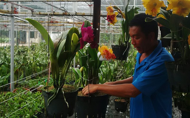 “Truyền nhân” của làng hoa nổi tiếng bậc nhất Sài Gòn