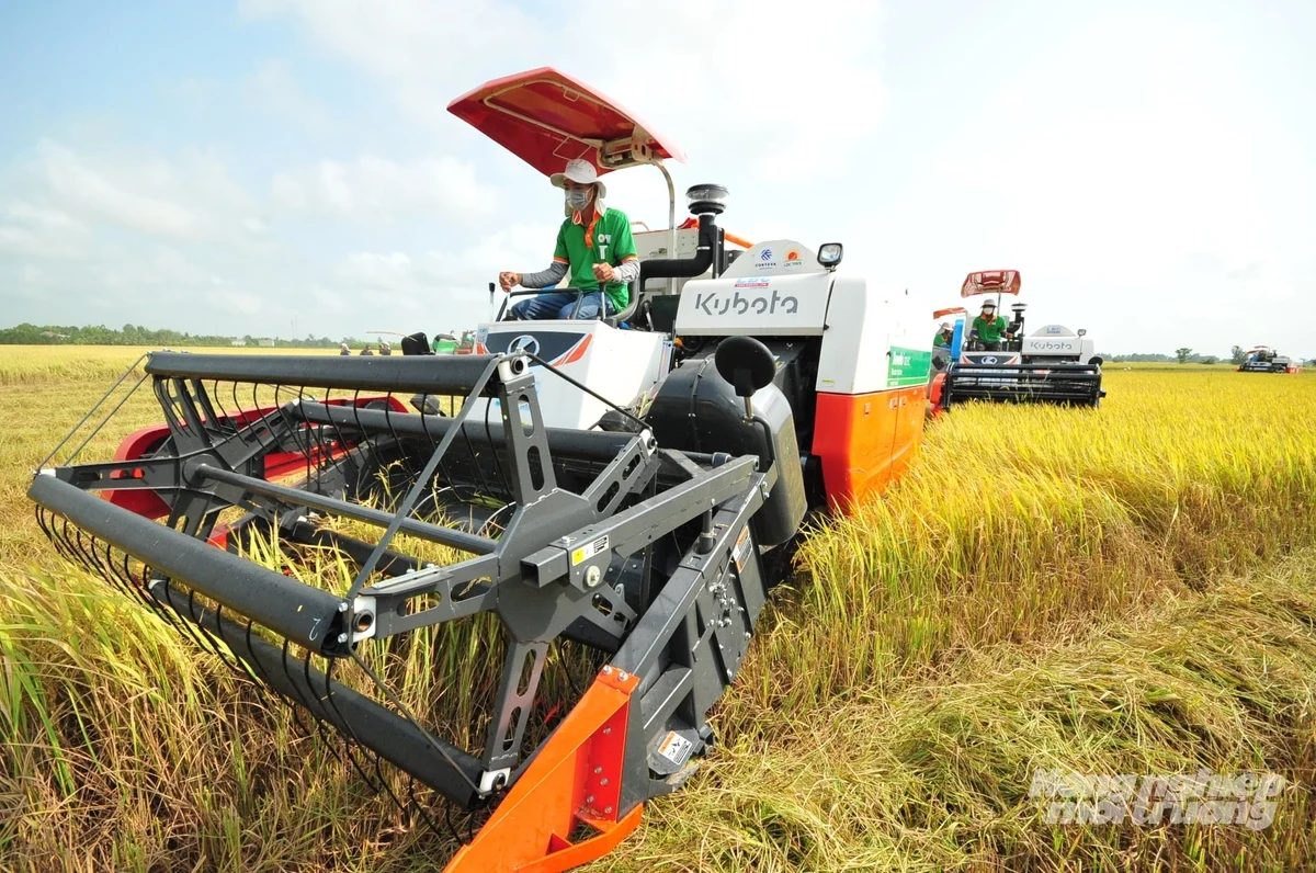 Nông dân An Giang đổi cách làm, cho ra hạt lúa tăng thêm giá trị
