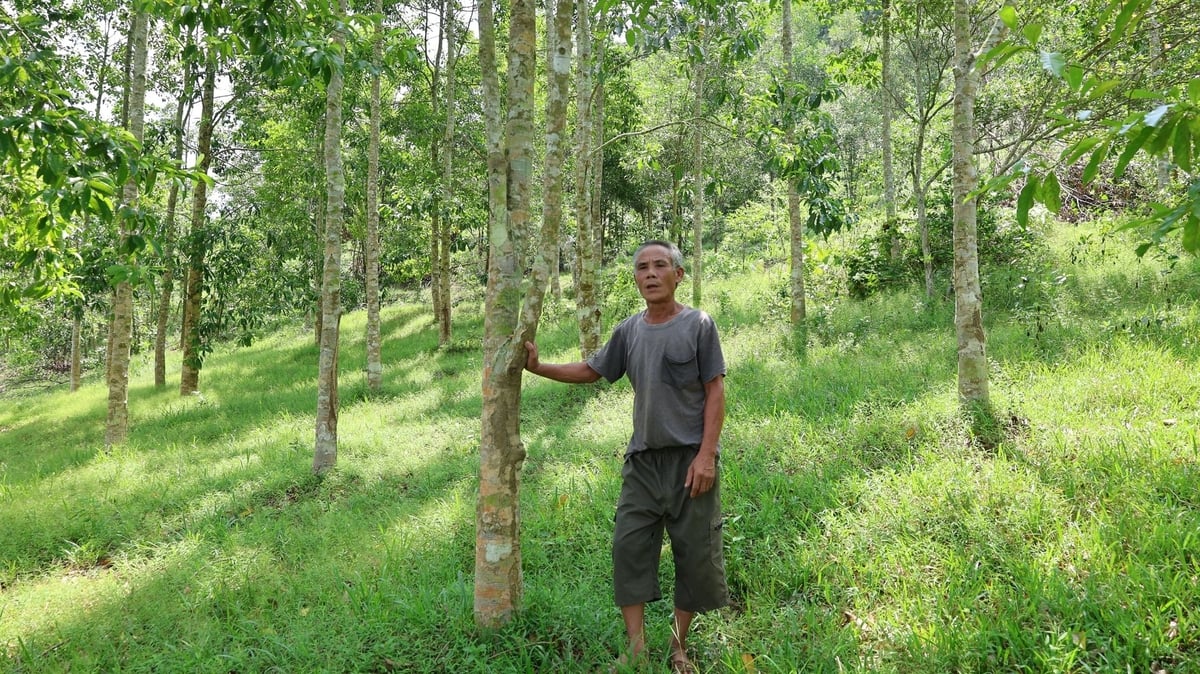 Nông dân làm giàu từ con và cây giống được hỗ trợ