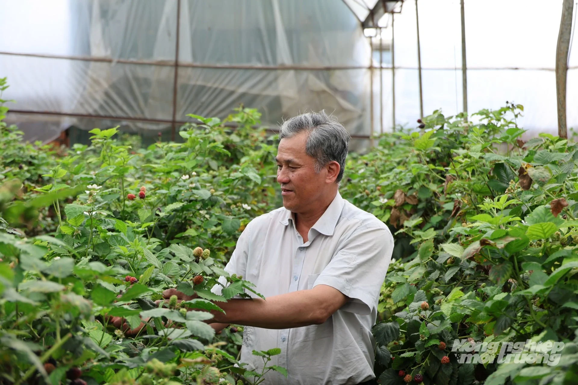 Biến rác sinh hoạt hữu cơ thành phân bón, giảm chi phí sản xuất