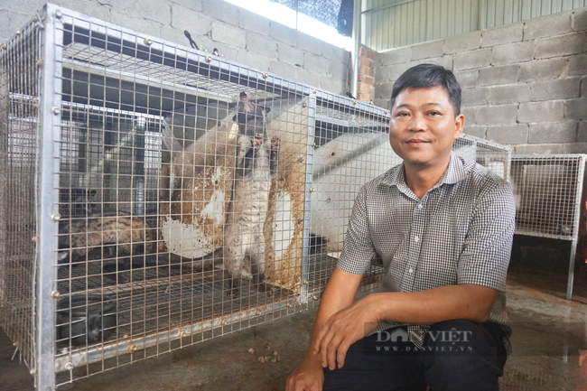 Anh nông dân ở Đà Nẵng đam mê nuôi con vật lạ, thích ăn chuối chín, thu lãi cao