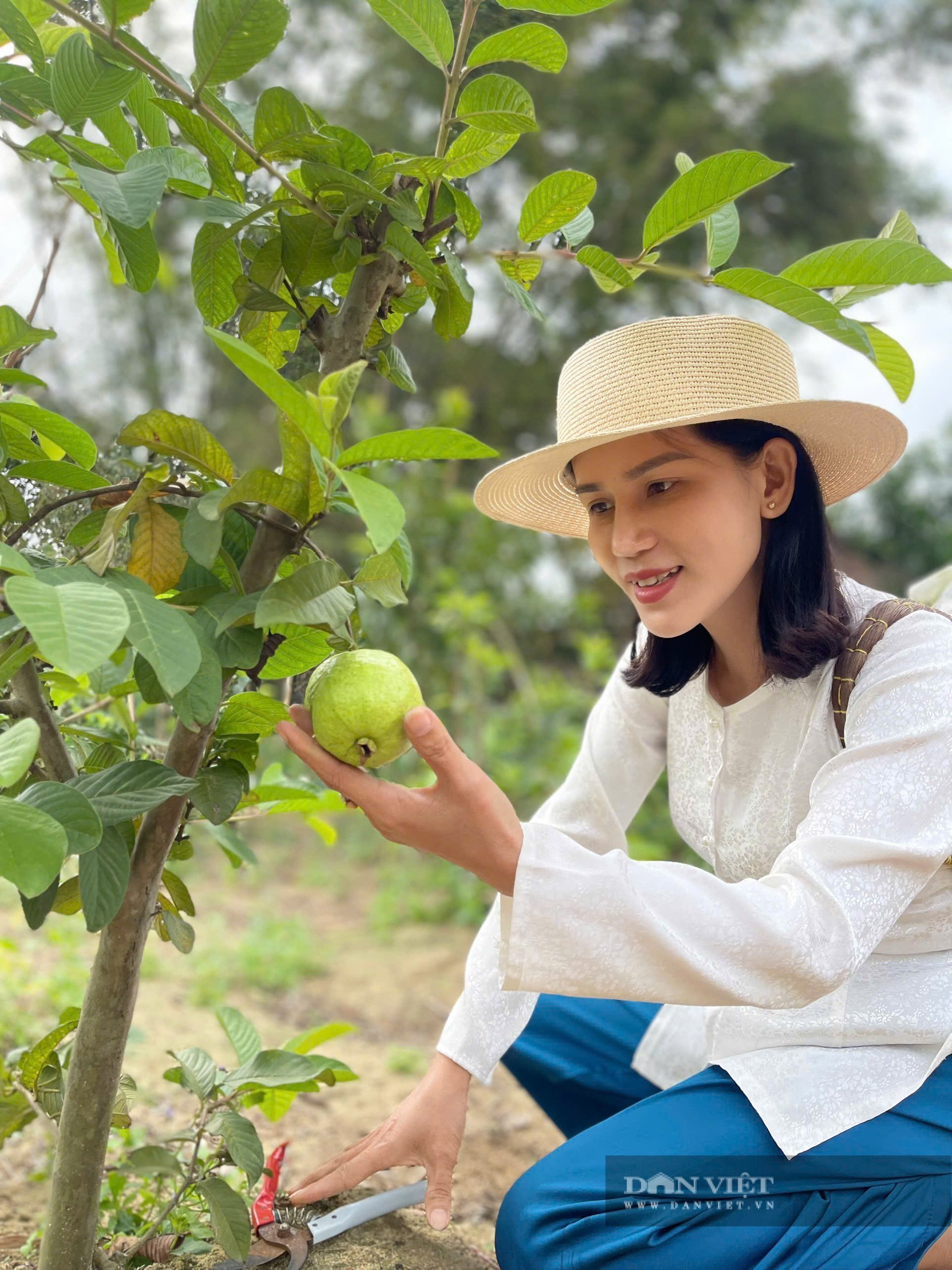 Trồng loại cây cho quả như 
