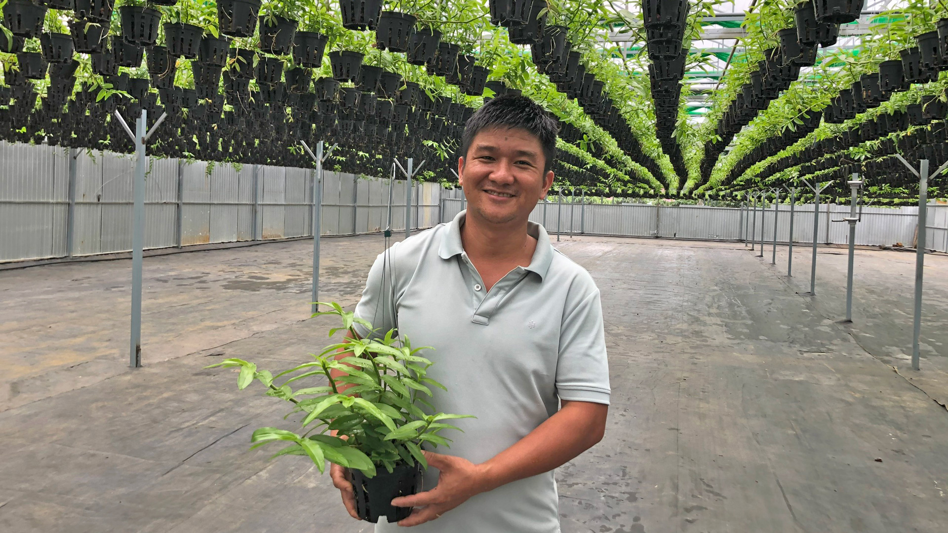 Đây là tỷ phú nông dân ở Lâm Đồng, anh giàu lên nhờ trồng thứ cây cảnh treo bóng râm, đó là cây gì vậy?