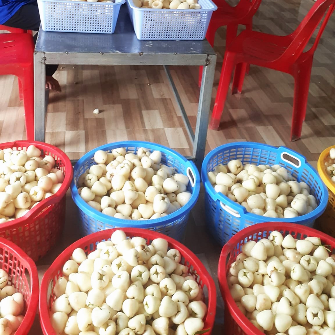 Người đưa mận trắng thành món mứt 'trứ danh' miền Tây