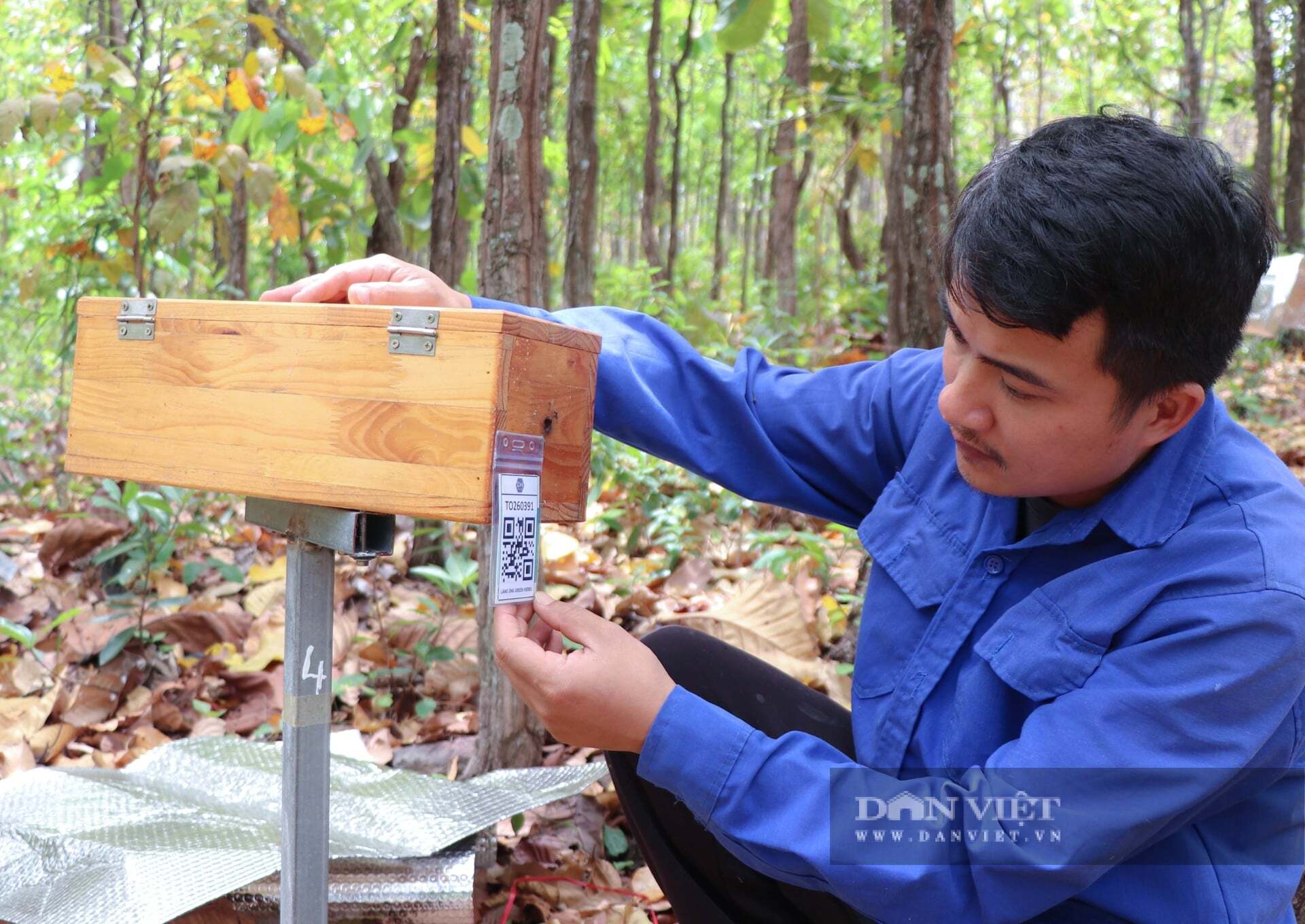 Vùng đất Khánh Hòa (Ninh Thuận trước đây), nơi đặt “ngôi nhà xanh”, tỷ con côn trùng li ti trú ngụ, cho thứ quý như vàng