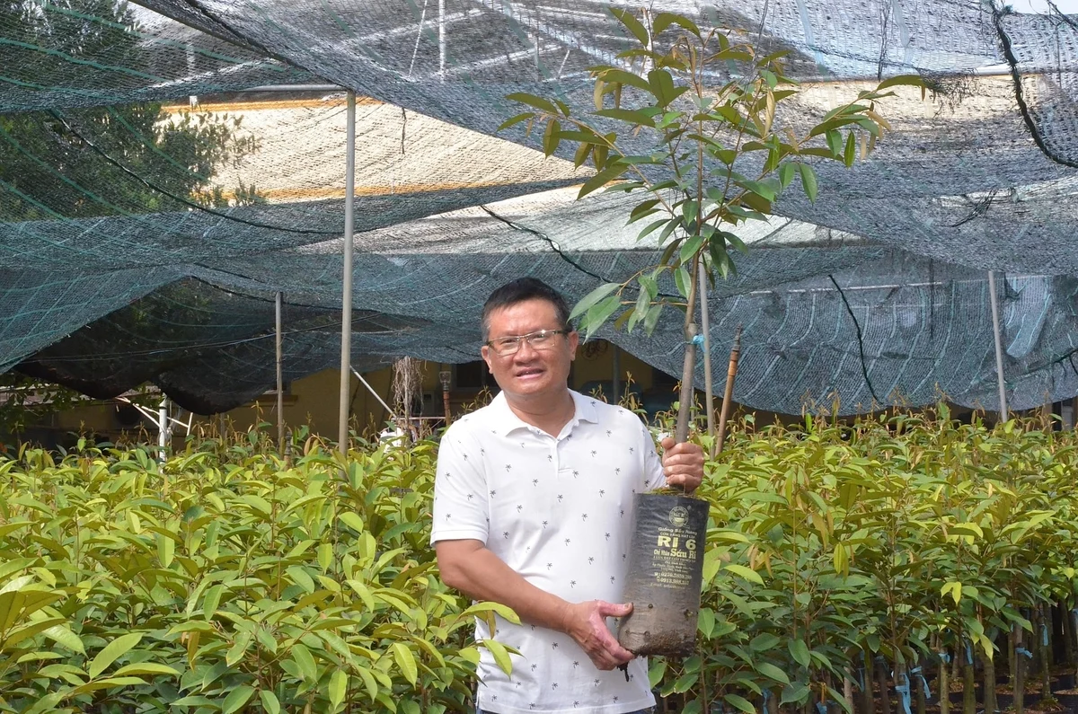 Cha gieo hạt, con nâng tầm sầu riêng Việt