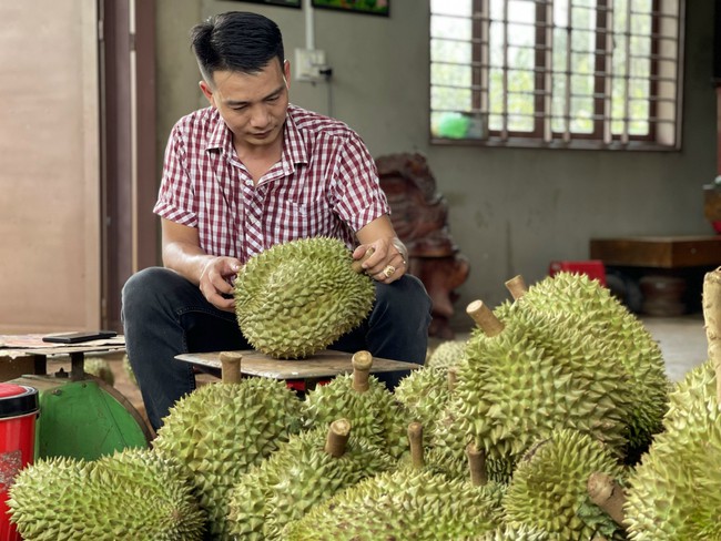 Không ngờ thứ trái cây có mùi hơi lạ, ai đã ăn là nghiện của Việt Nam đã bán đến 22 nước