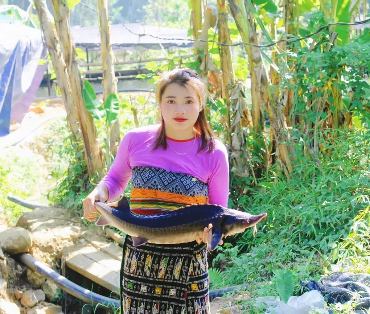 Cô gái Mường bén duyên nghề nuôi cá tầm