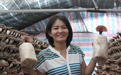 Nữ nông dân đưa nấm Việt vươn xa