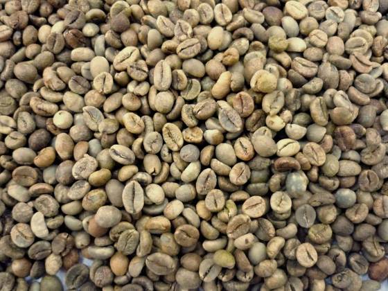 Giá nông sản hôm nay 14.6: Giá cà phê tăng cao khiến dân trồng tiêu phát thèm 