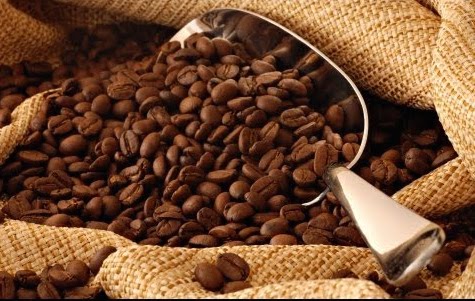 Giá nông sản 15.11: Hai sàn đảo ngược trái chiều, giá cà phê robusta tiếp tục tăng trở lại, từ 200 - 400 đồng/kg