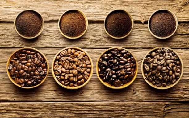Giá cà phê 21/8: Giá cà phê lao dốc, xuất khẩu nửa đầu tháng 8 tiếp tục giảm