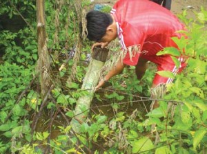 T&igrave;m chỗ đặt lợp lươn